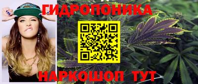 spice Будённовск